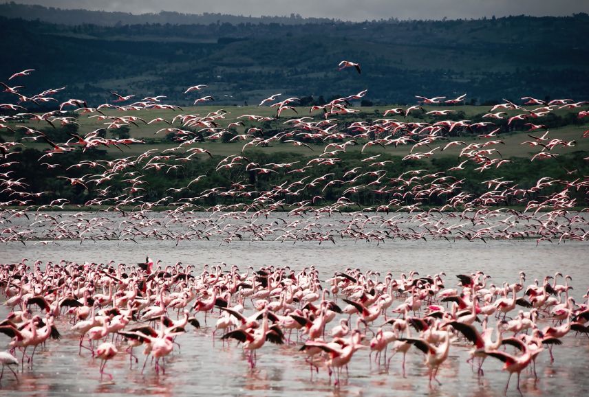 hmsafaris_destination_ngorongoro_crater